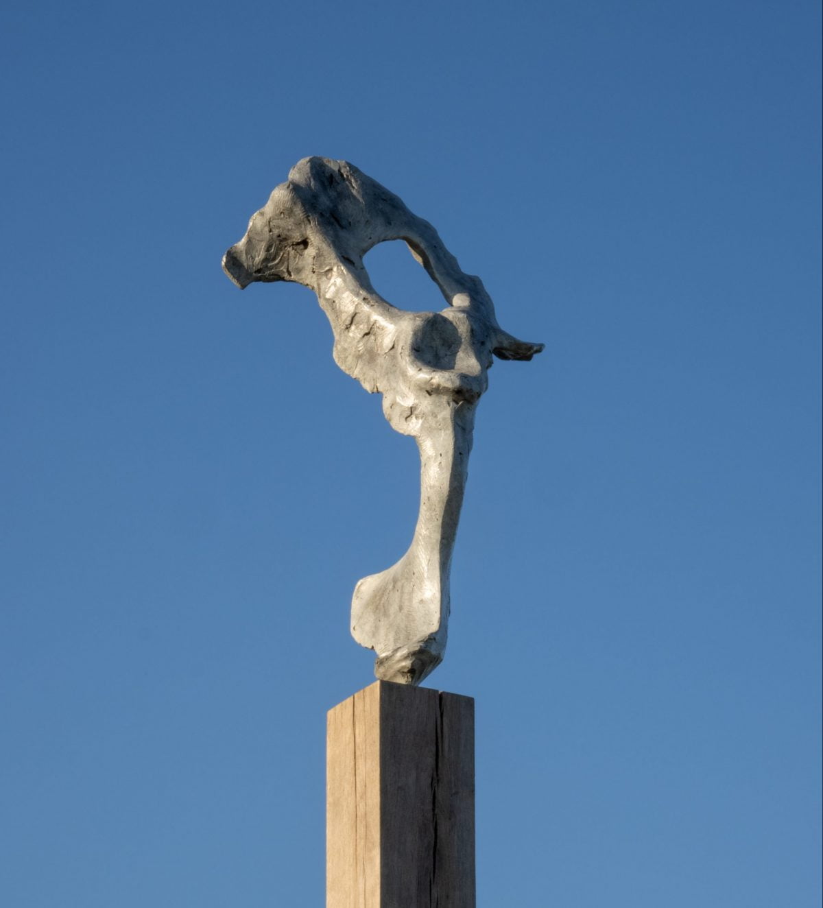 Garden & Monumental Bronzes Garden Art, Sculptures Near Me