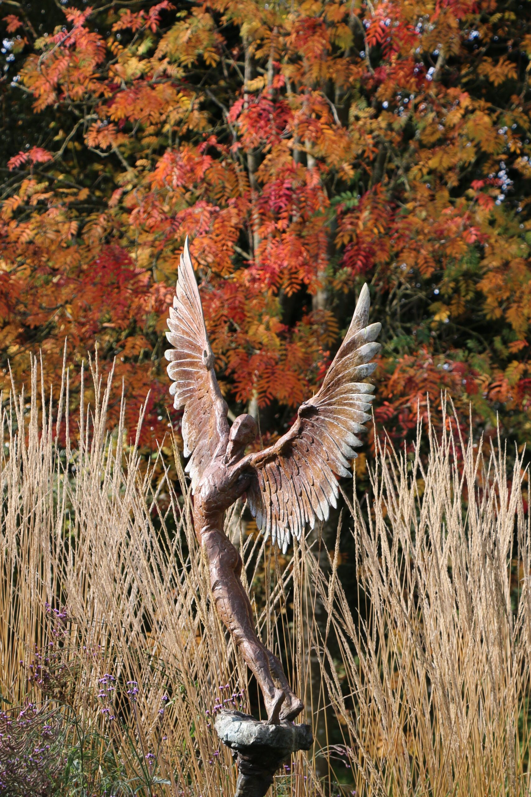 Icarus IX (2)gallery