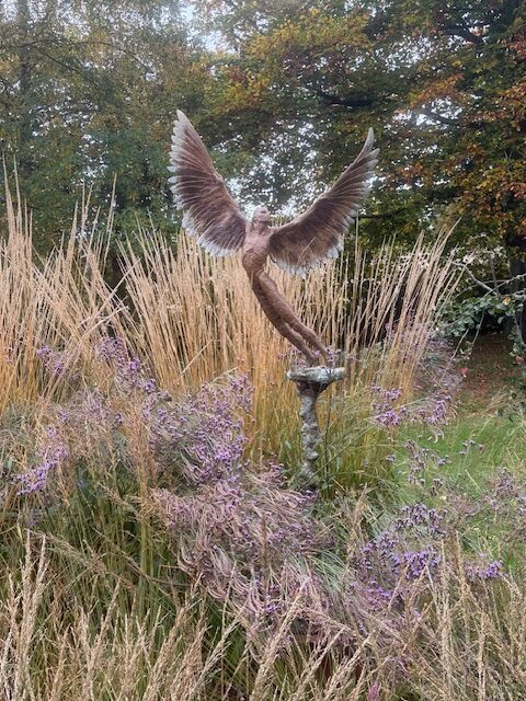 Icarus IX (3)gallery