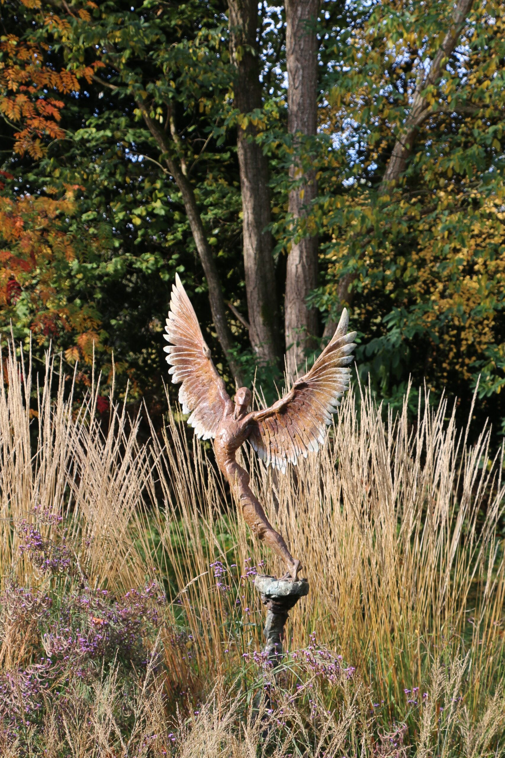 Icarus IX (3)gallery