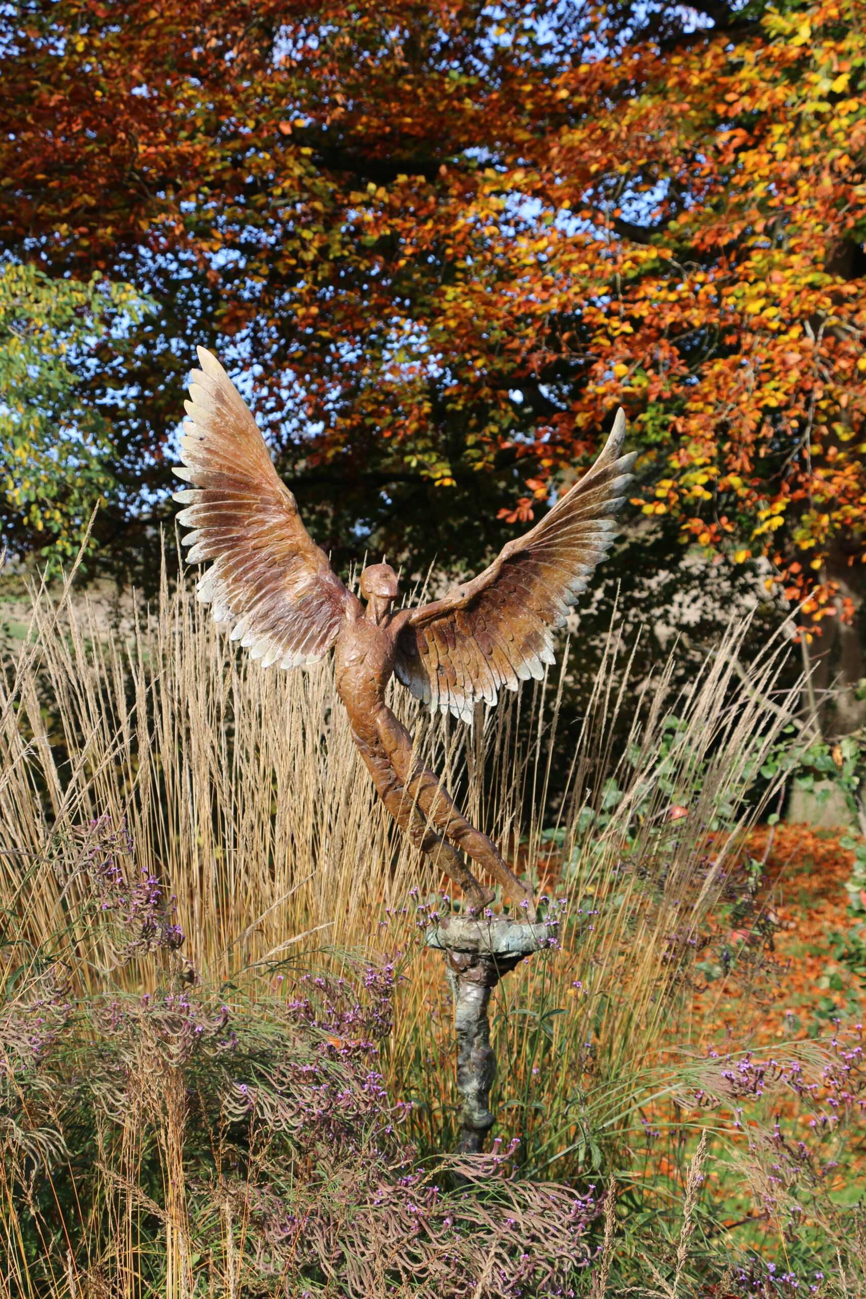 Icarus IX. main photo