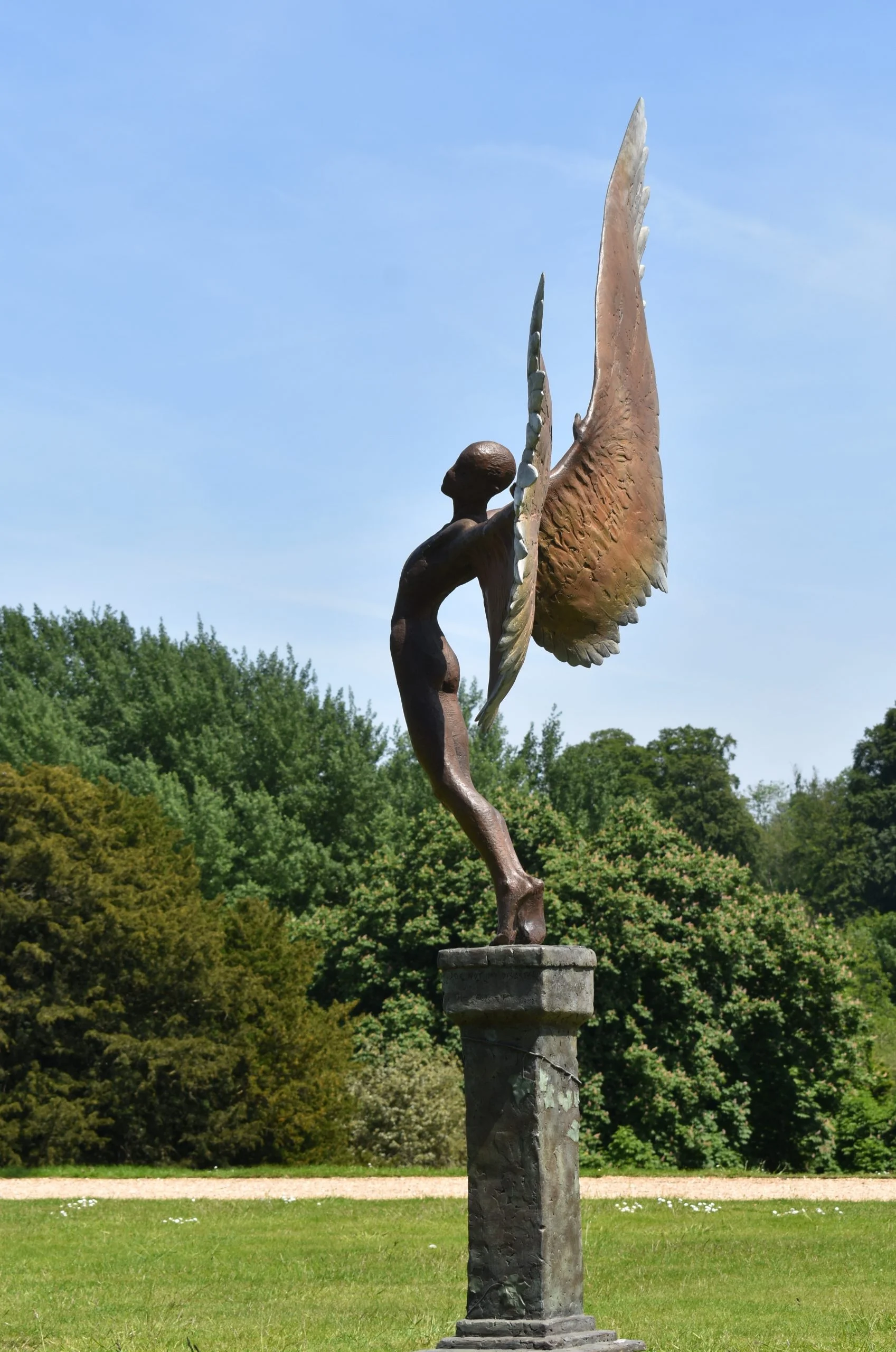 icarus at the grange fest