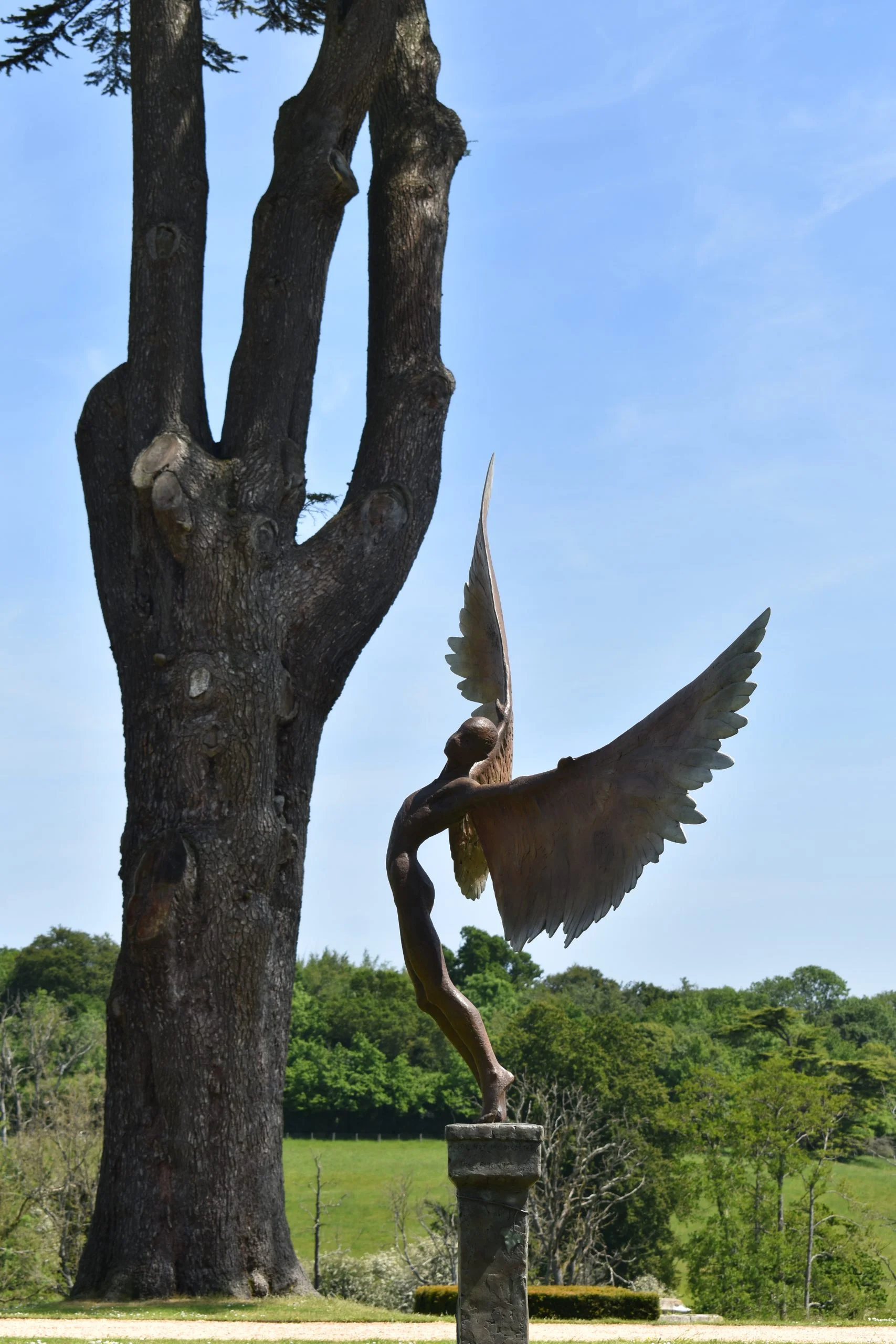 icarus nicola godden