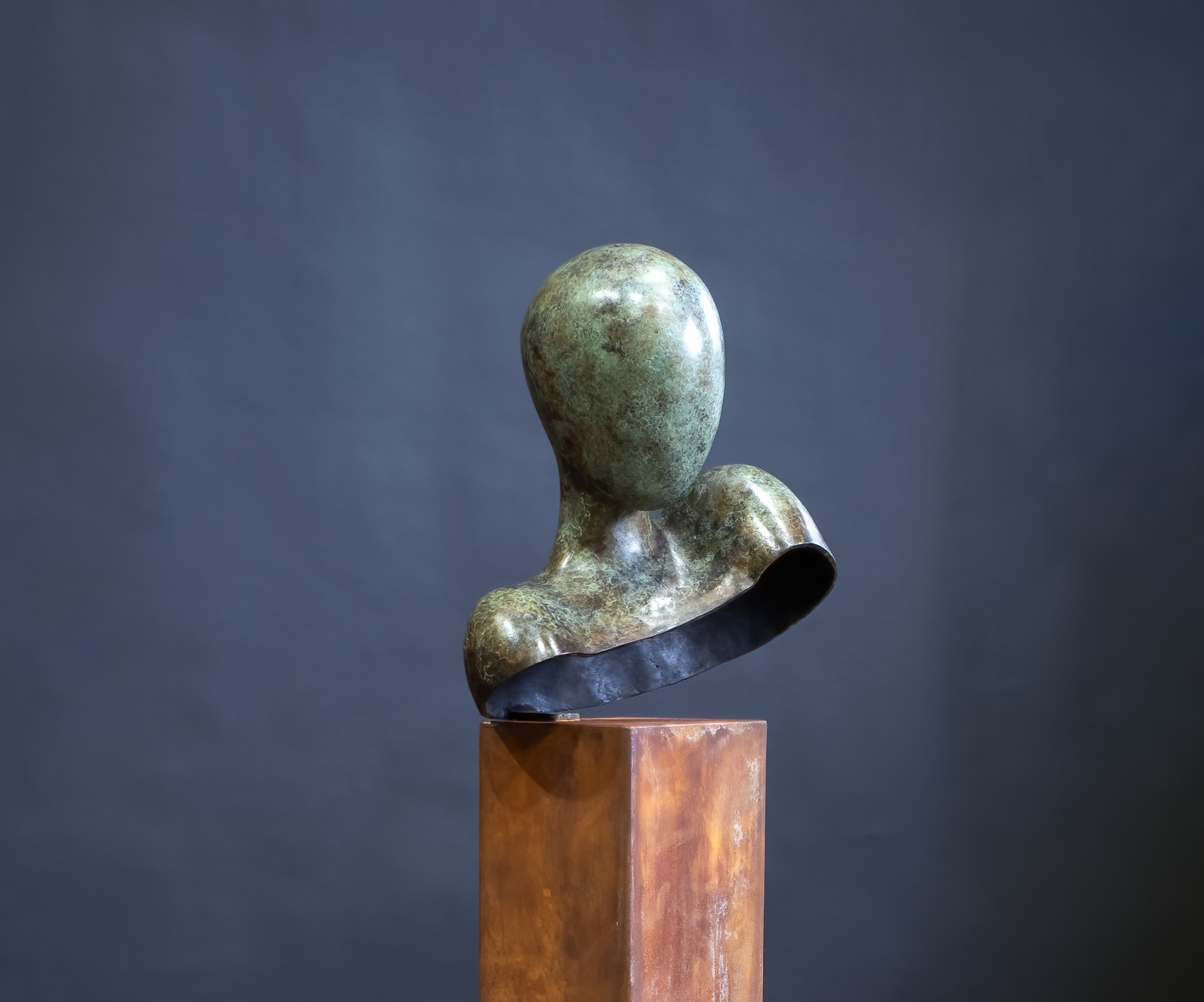 The Wish. main photo